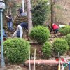 Volunteer work at the Monastery of the Transfiguration-Korea